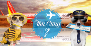 Thú cưng, vật nuôi và những điều có thể bạn chưa biết?