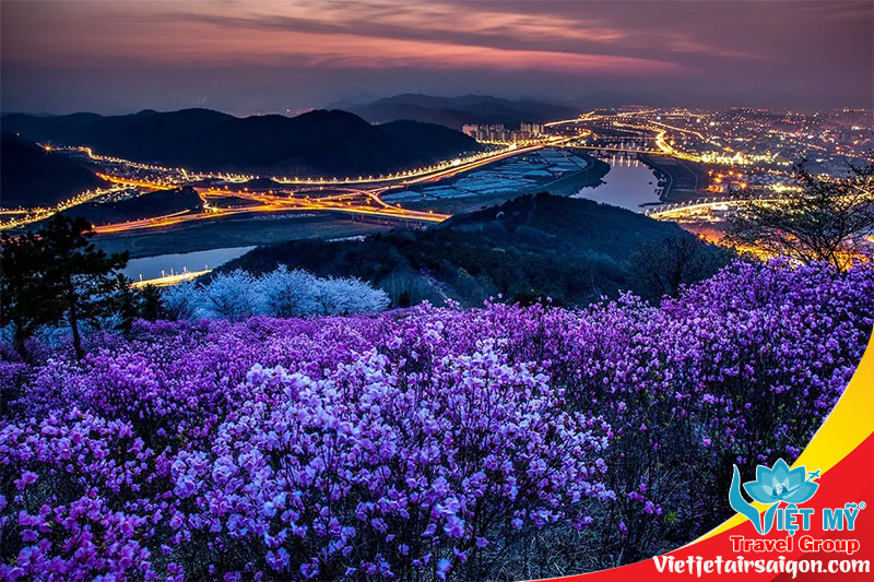 Gọi 0908380888 đặt vé máy bay Đà Nẵng đi Daegu Hàn Quốc hãng Vietjet 1 Bạn cần mua vé máy bay Đà Nẵng đi Daegu hãng Vietjet?