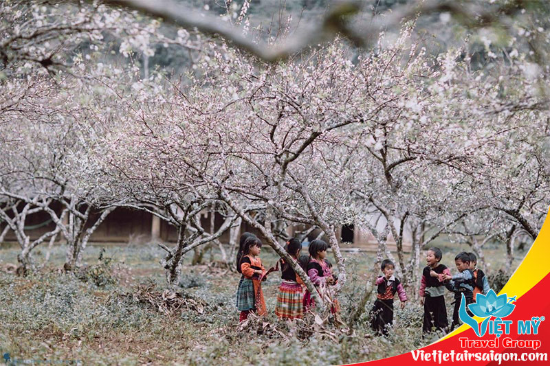 Bay du xuân miền Bắc chỉ từ 199K cùng Vietjet Air 2 Bay du xuân miền Bắc chỉ từ 199K cùng Vietjet Air