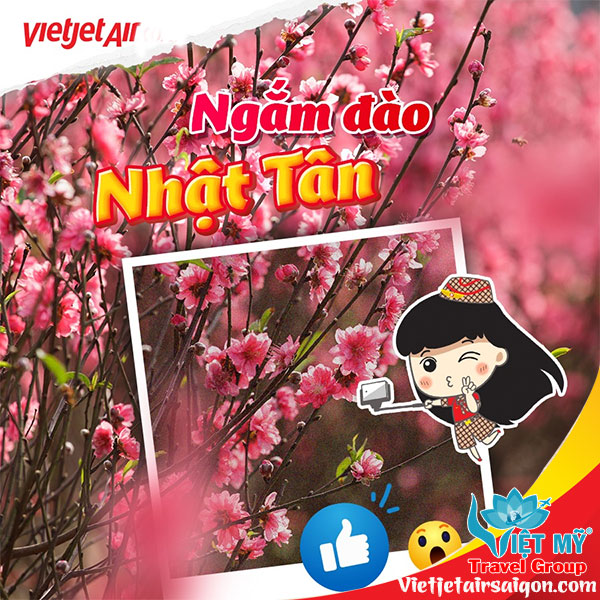 Cùng Vietjet Bay Hà Nội vui hội hoa Xuân chỉ từ 950k 3 Cùng Vietjet Bay Hà Nội vui hội hoa Xuân chỉ từ 950k