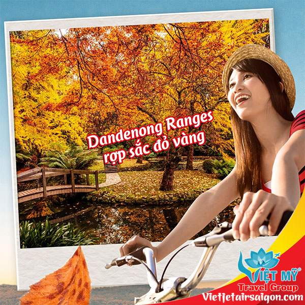 Đến hẹn mua vé 0Đ đi Úc - gọi ngay đại lý Vietjet nào! 2 Đến hẹn mua vé 0Đ đi Úc