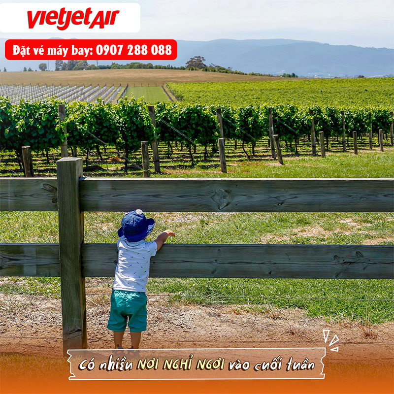 Khám phá Melbourne - thành phố đáng sống nhất thế giới! 5 Khám phá Melbourne - thành phố đáng sống nhất thế giới!
