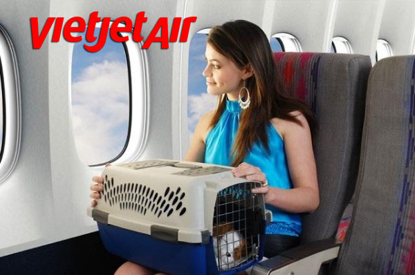 Quy định vận chuyển thú cưng trên máy bay Vietjet Air!
