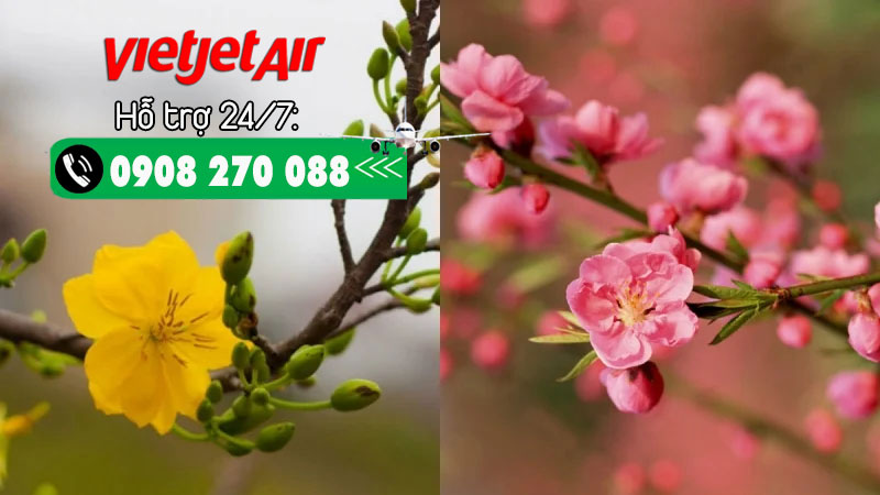 Vietjet mở bán vé Tết 2025 giá chỉ từ 610K/lượt!