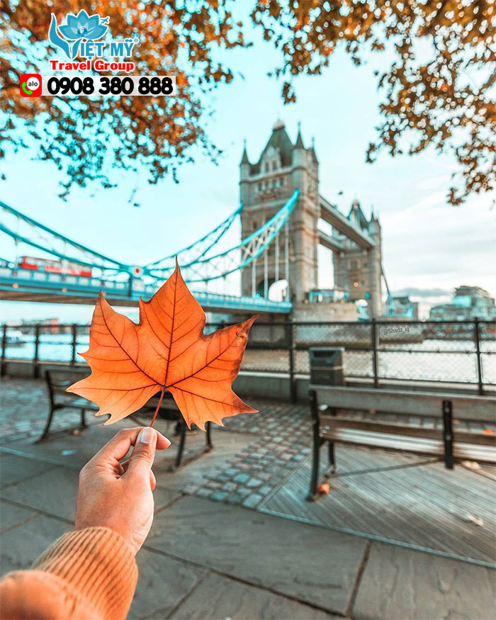 Bay ngay cùng Turkmenistan Airlines đến với London