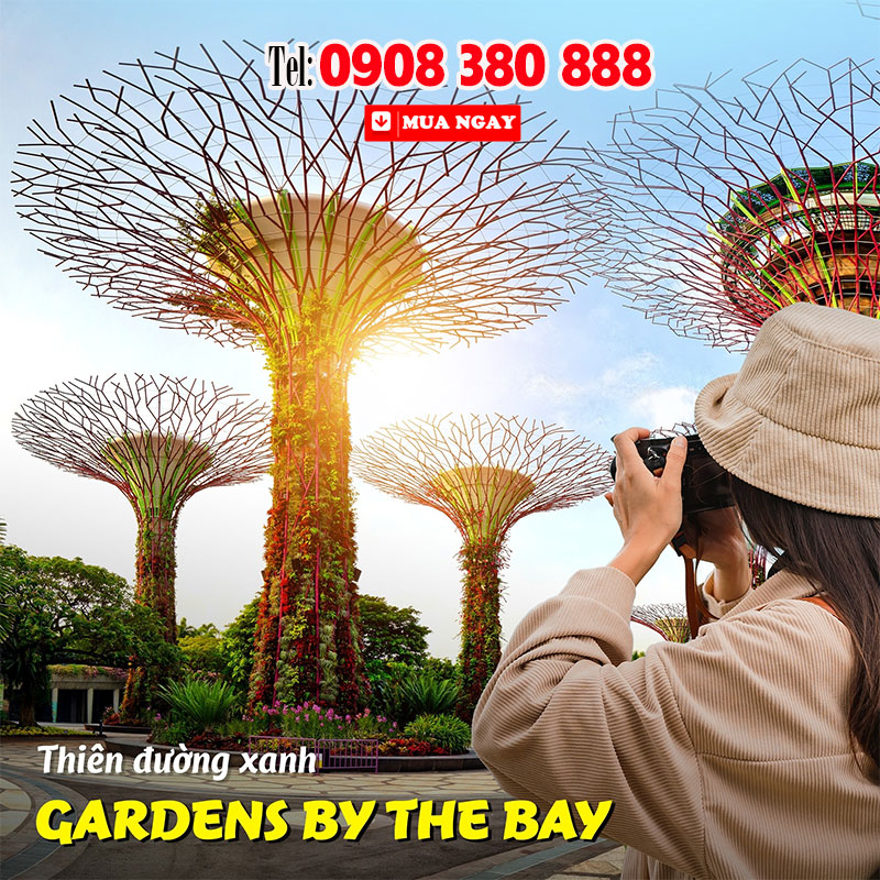 Mở lối Phú Quốc đến Singapore - thiên đường nghỉ dưỡng 3 VIETJET AIR Mở lối Phú Quốc đến Singapore - thiên đường nghỉ dưỡng!