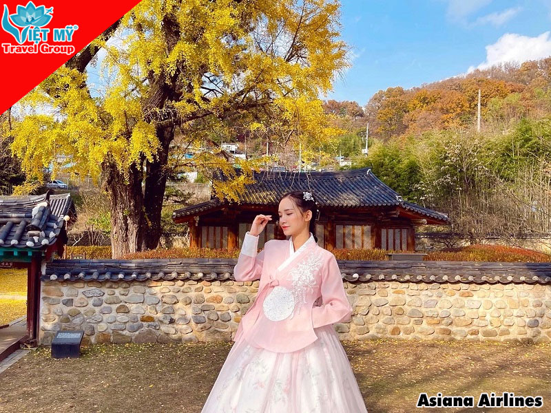 Bay thu xứ Hàn cùng Asiana Airlines – Ưu đãi giảm đến 30% 4 Bay thu xứ Hàn cùng Asiana Airlines – Ưu đãi giảm đến 30%
