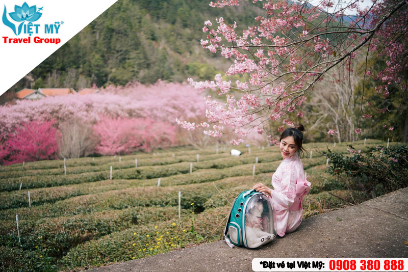 China Airlines khuyến mãi vé TPHCM đi Đài Bắc chỉ từ 50 USD/lượt!
