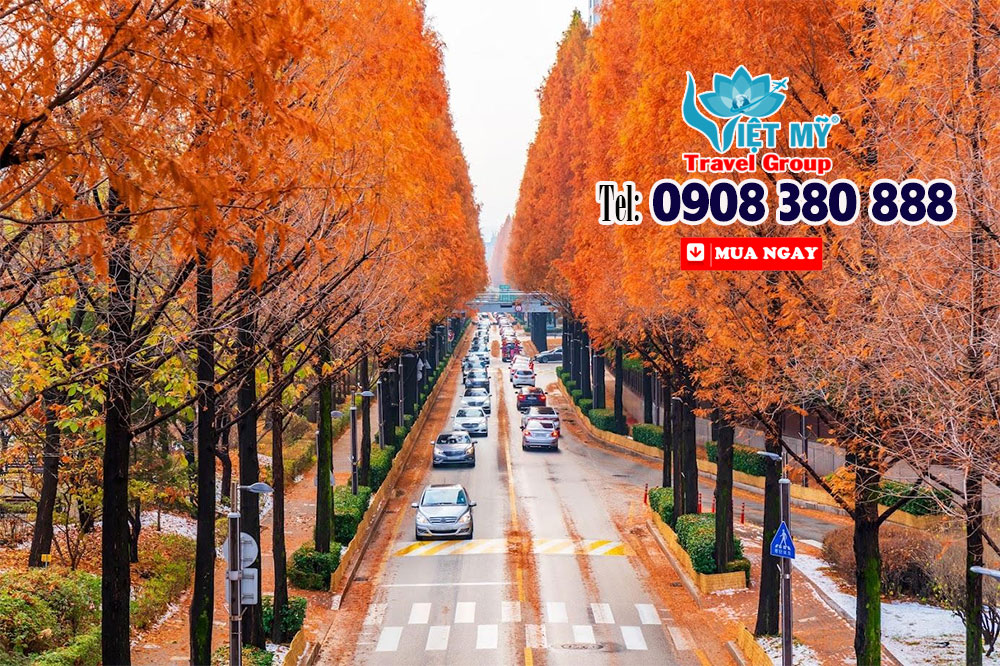 Namsan mùa lá đỏ - Hẹn bạn dưới trời thu Seoul cùng Asiana Airlines 2 Namsan mùa lá đỏ - Hẹn bạn dưới trời thu Seoul cùng Asiana Airlines