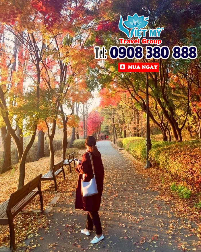 Namsan mùa lá đỏ - Hẹn bạn dưới trời thu Seoul cùng Asiana Airlines 3 Namsan mùa lá đỏ - Hẹn bạn dưới trời thu Seoul cùng Asiana Airlines