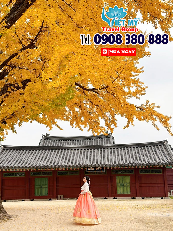 Namsan mùa lá đỏ - Hẹn bạn dưới trời thu Seoul cùng Asiana Airlines 4 Namsan mùa lá đỏ - Hẹn bạn dưới trời thu Seoul cùng Asiana Airlines