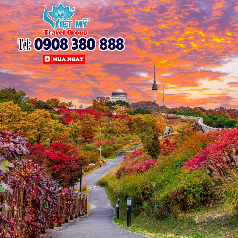 Namsan mùa lá đỏ - Hẹn bạn dưới trời thu Seoul cùng Asiana Airlines 5 Namsan mùa lá đỏ - Hẹn bạn dưới trời thu Seoul cùng Asiana Airlines