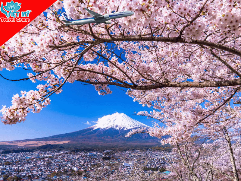 Khám phá Nhật Bản mùa xuân cùng ANA (All Nippon Airways)