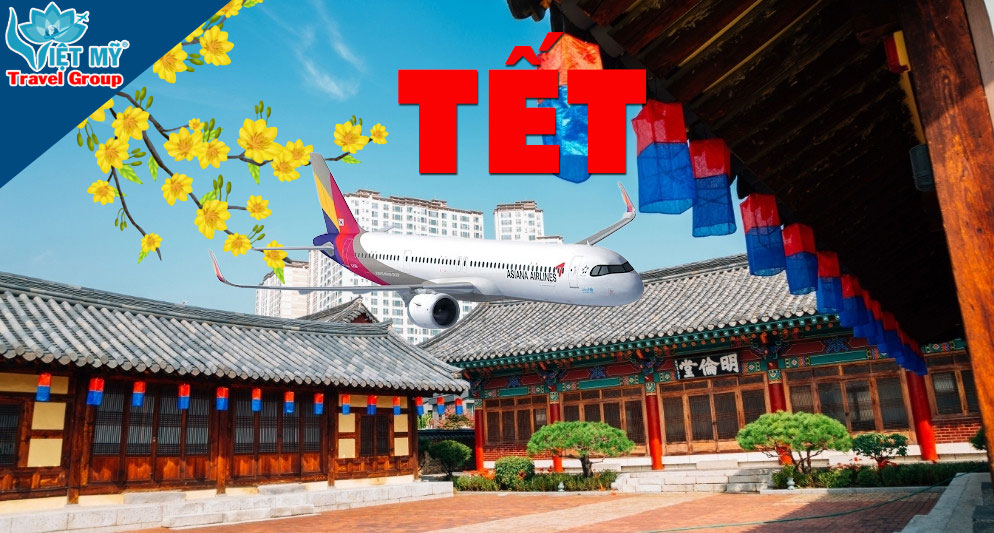 Vé máy bay Tết Hàn Việt từ Daegu Hàn Quốc về Hồ Chí Minh Việt Nam