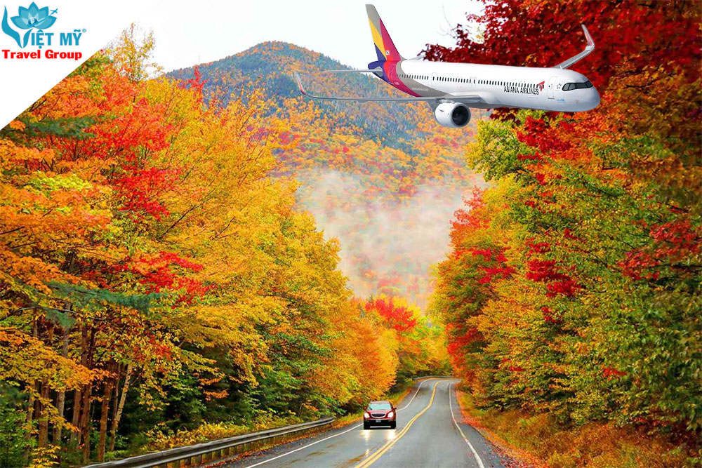 Ưu đãi Asiana Airlines bay Mỹ: tiết kiệm 5% - 10% giá vé máy bay