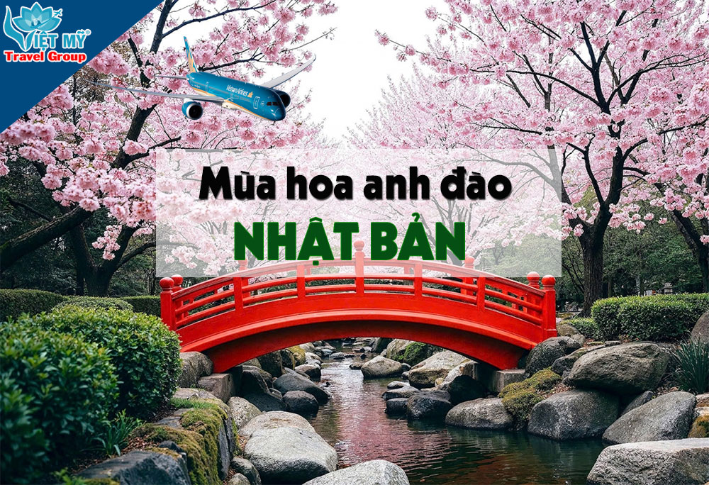 Bay Nhật mùa hoa anh đào chỉ từ 135 USD cùng Vietnam Airlines