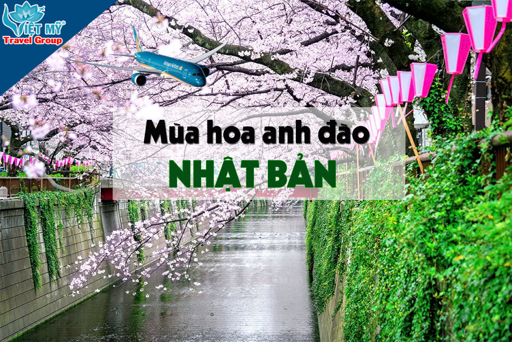 Bay Nhật mùa hoa anh đào chỉ từ 135 USD cùng Vietnam Airlines