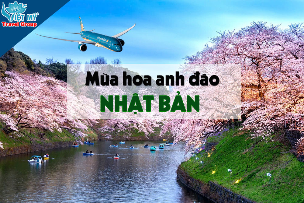Bay Nhật mùa hoa anh đào chỉ từ 135 USD cùng Vietnam Airlines