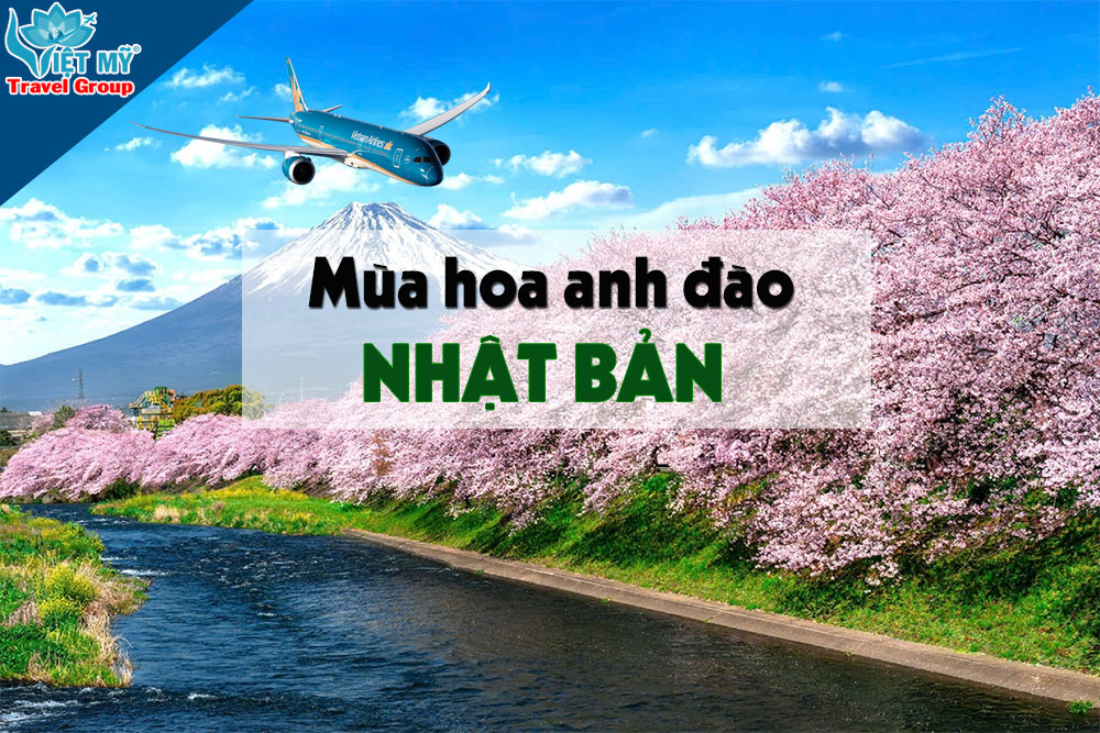 Bay Nhật mùa hoa anh đào chỉ từ 135 USD cùng Vietnam Airlines