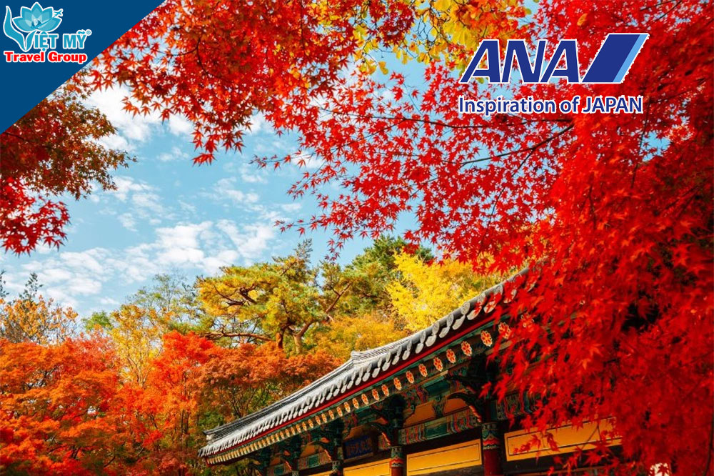 Khám phá Nhật Bản dễ dàng với vé ANA giá tốt 2026