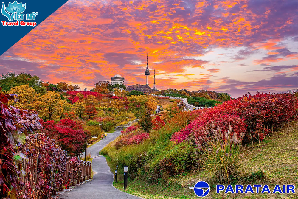 Parata Air ưu đãi vé Business Hà Nội - Seoul từ 420 USD/khứ hồi 2 Parata Air ưu đãi vé Business Hà Nội - Seoul từ 420 USD/khứ hồi