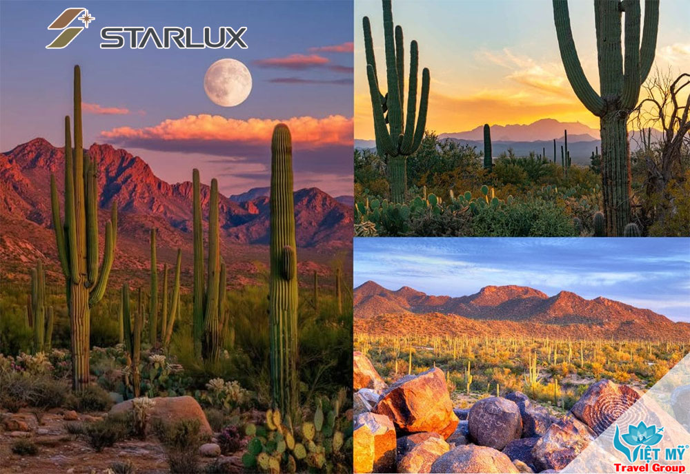 STARLUX Airlines ưu đãi vé Hà Nội đi Phoenix chỉ từ 247 USD 2 STARLUX Airlines ưu đãi vé Hà Nội đi Phoenix chỉ từ 247 USD